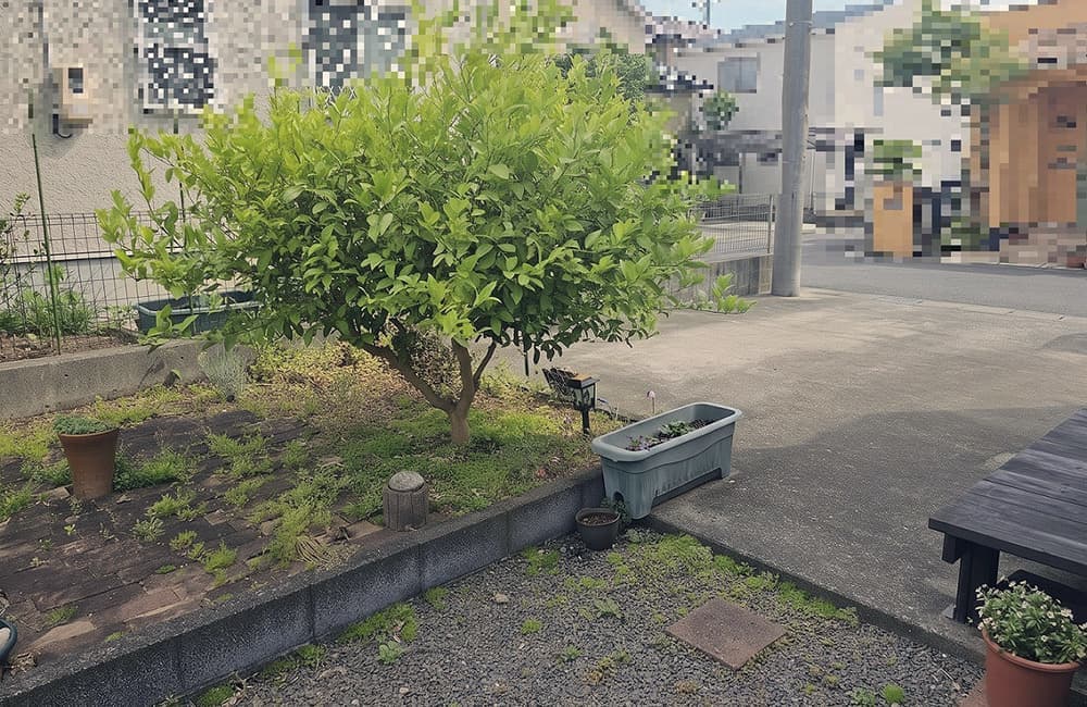 中古住宅・中古一戸建て　静岡市清水区草薙　3LDK