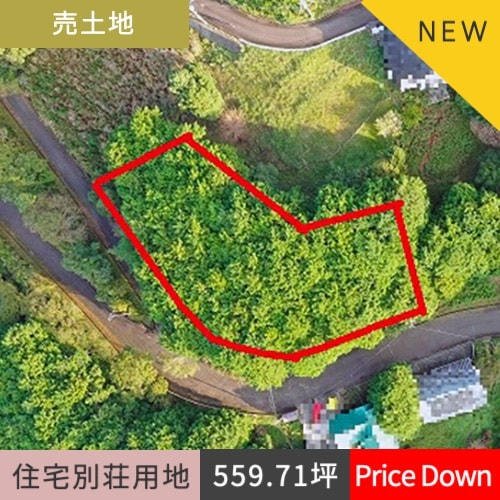 売土地別荘住宅用地　沼津市足高1,850.31㎡（559.71坪）